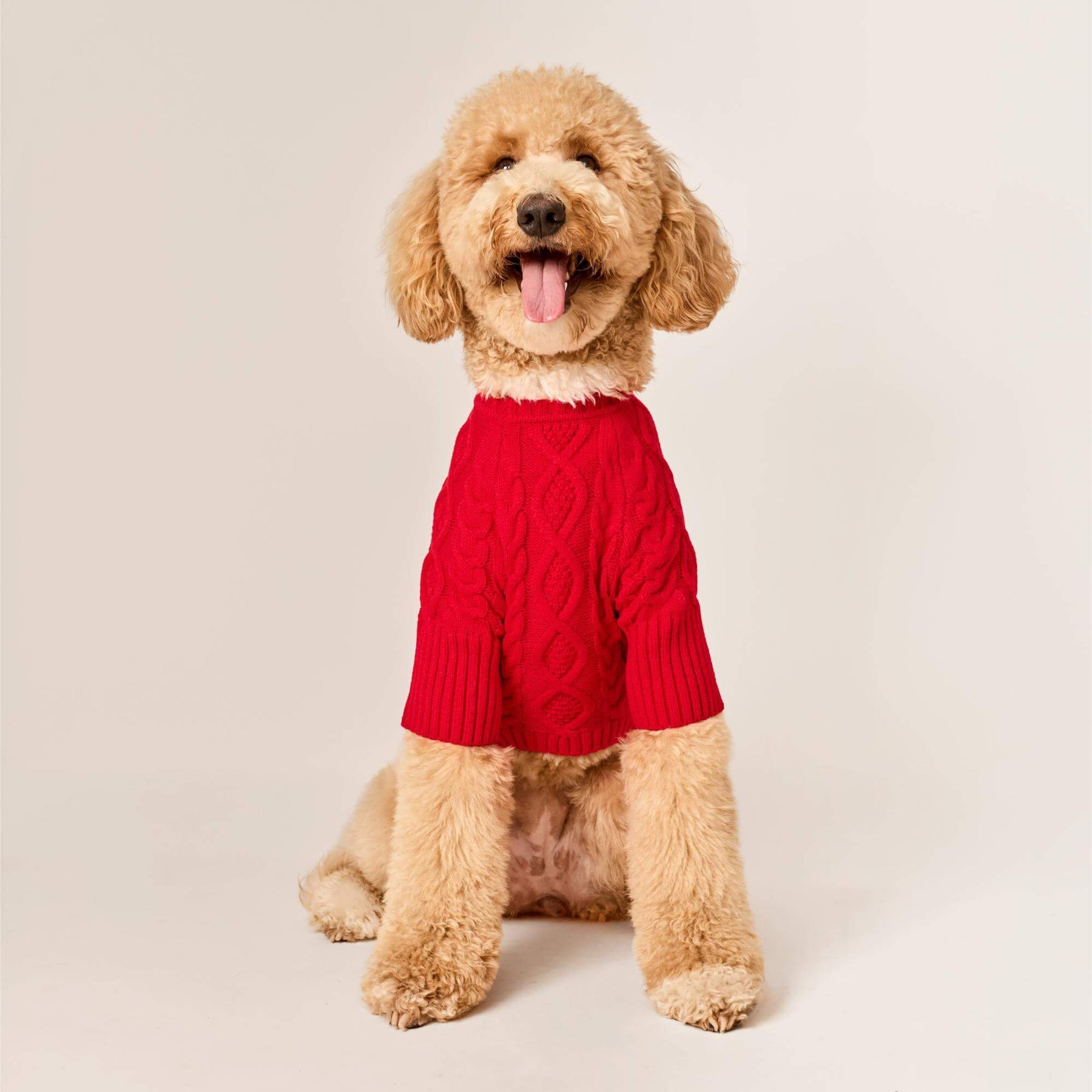 The Foggy Dog - Dog Sweater Red Cable Knit
