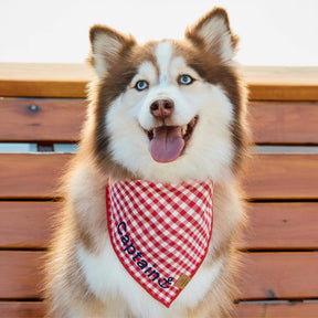 The Foggy Dog - Bandana Dog Red Gingham Summer