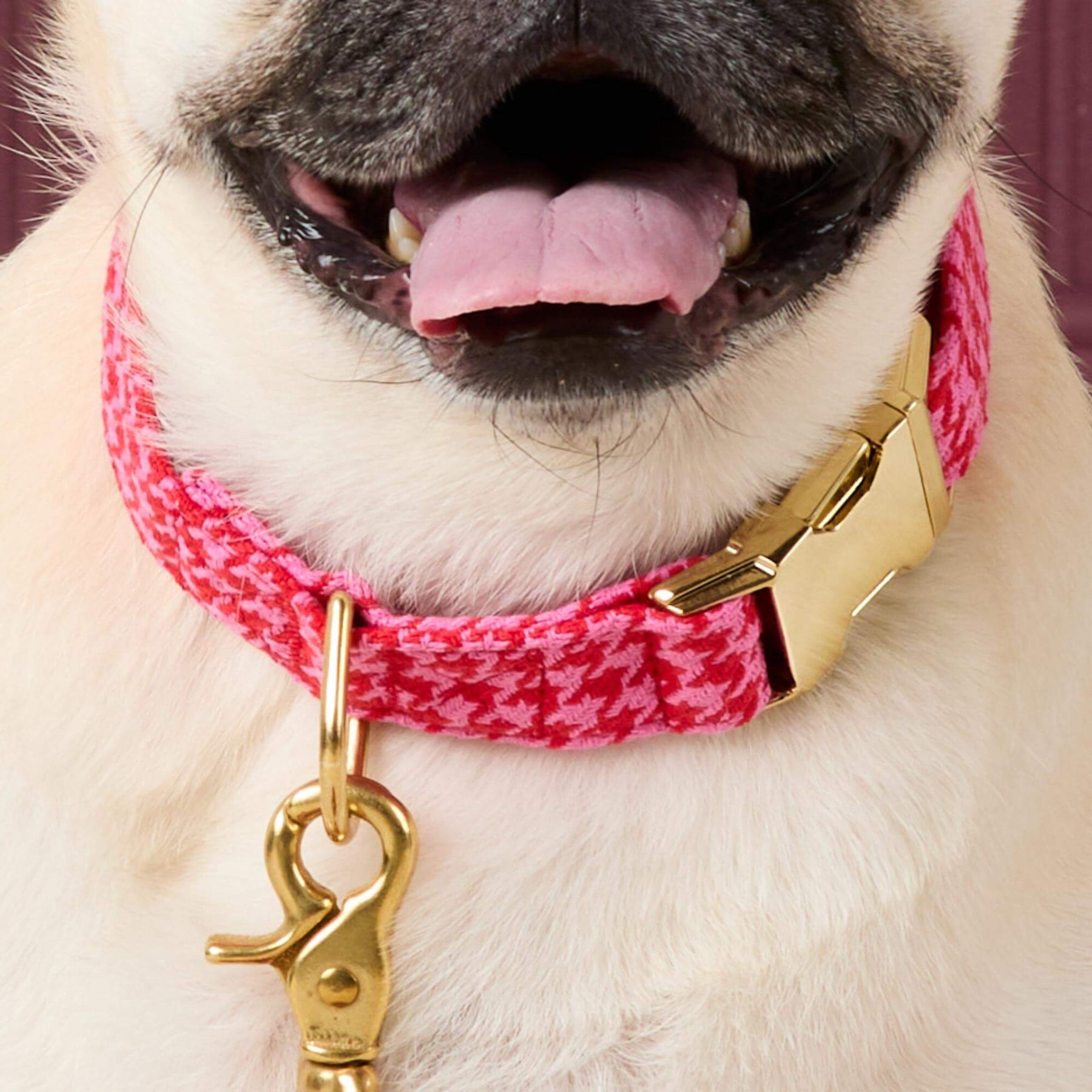 The Foggy Dog - Dog Collar Red & Pink Houndstooth