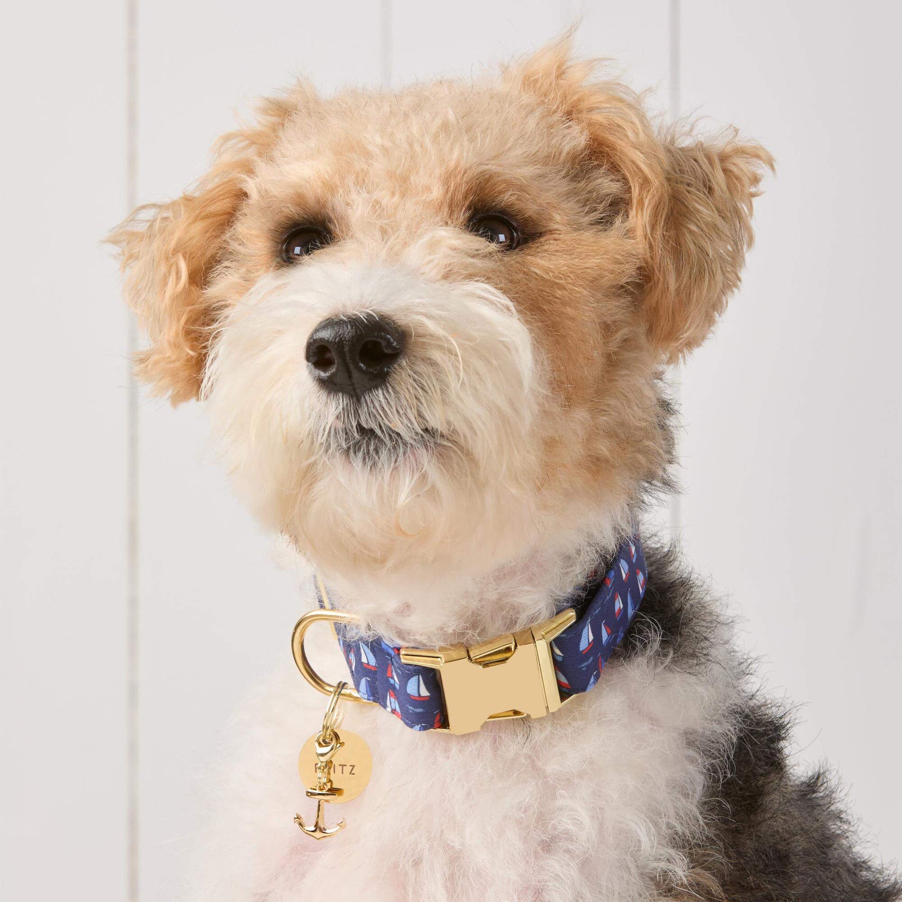 The Foggy Dog - Collar Charm Anchor