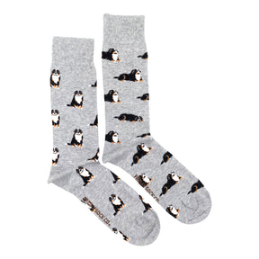 Friday Sock Co. - Socks Bernese Mountain Dog Mismatched