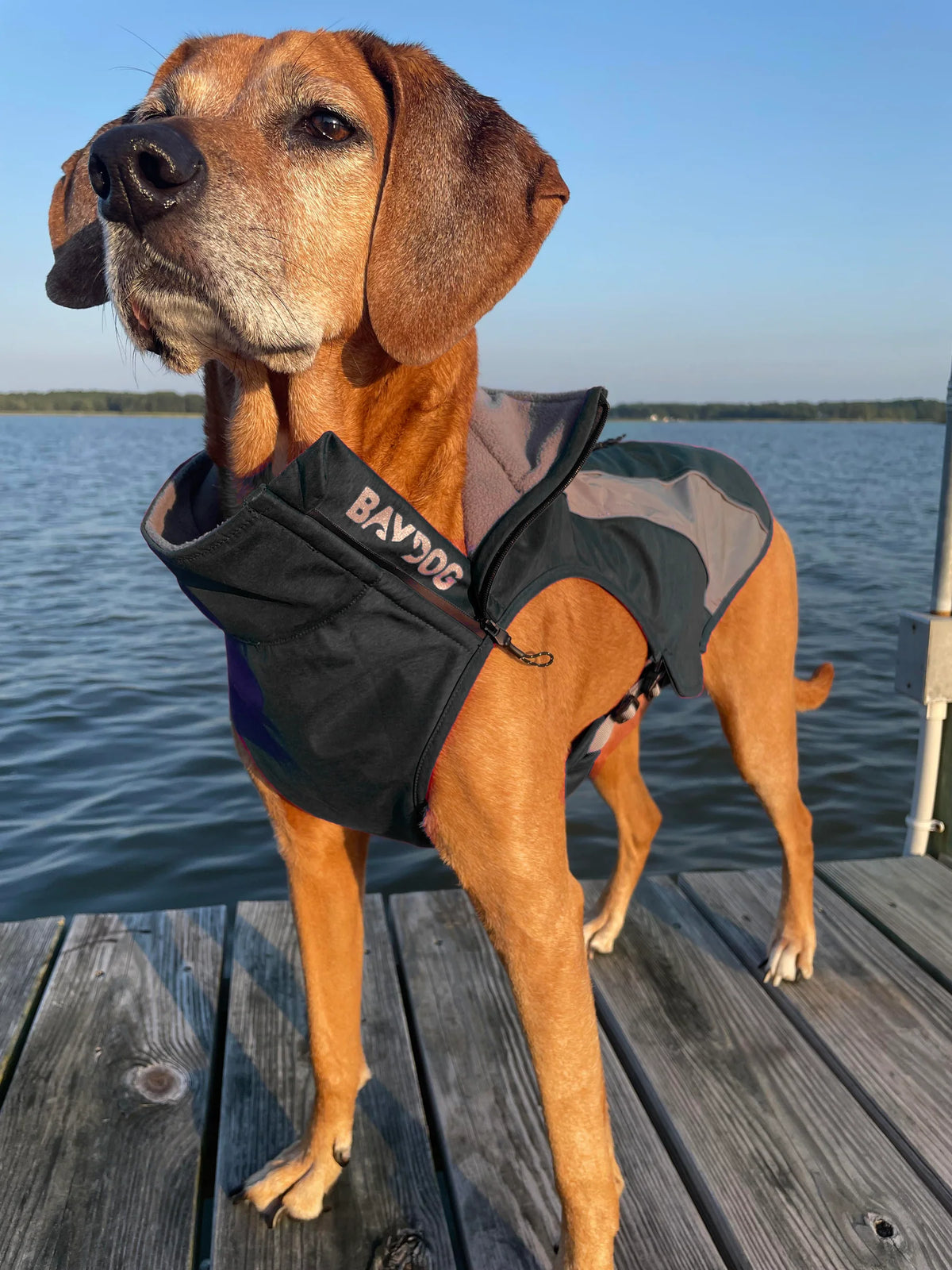 Baydog - Saginaw Fleece Coat