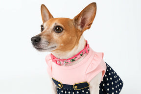 Parisian Pet - Dog Nautical Dress