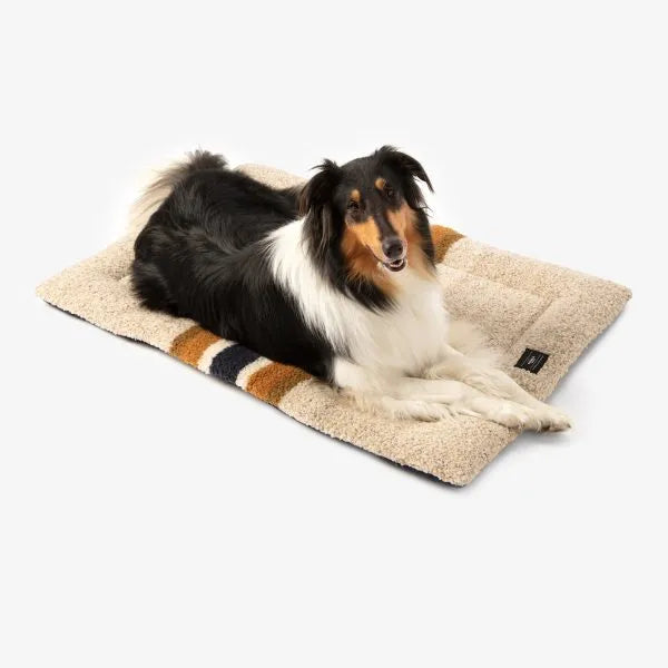 Carolina Pet Company - Shinola Pet Comfort Cushion Padded Dog Bed