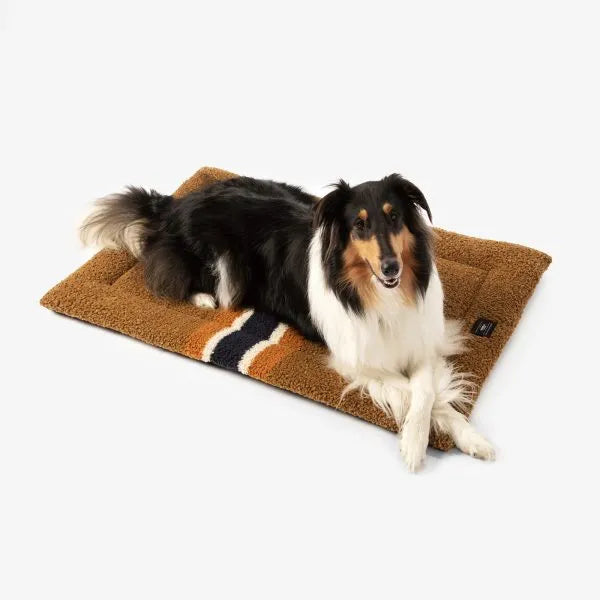 Carolina Pet - Pendleton Cushion Shinola Brown Dog Bed