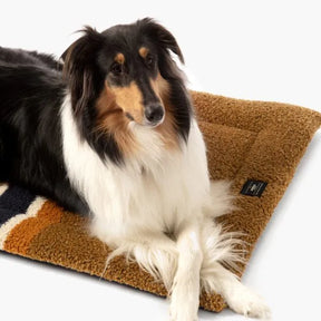 Carolina Pet - Pendleton Cushion Shinola Brown Dog Bed