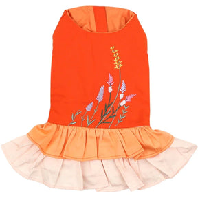Parisian Pet - Dog "Color Block Garden Dress"