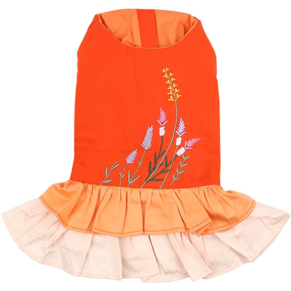 Parisian Pet - Dog "Color Block Garden Dress"