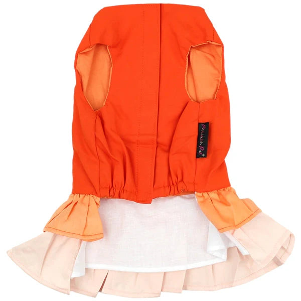 Parisian Pet - Dog "Color Block Garden Dress"
