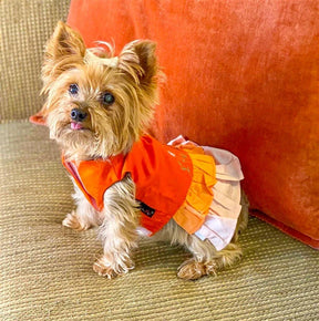 Parisian Pet - Dog "Color Block Garden Dress"