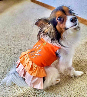 Parisian Pet - Dog "Color Block Garden Dress"