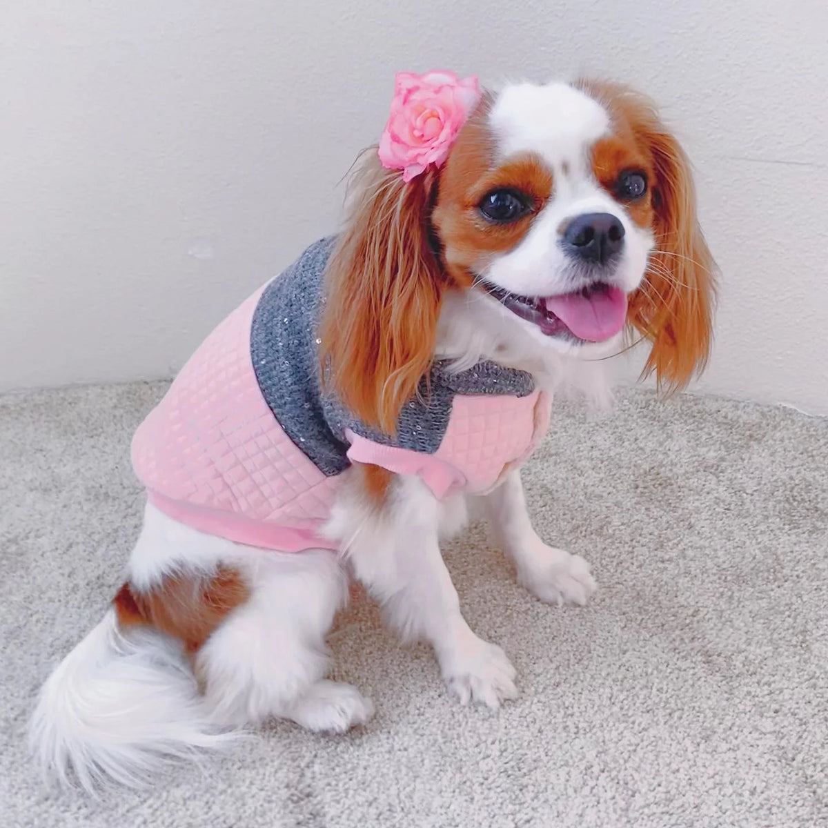 Parisian Pet - Quilted Jacket Fancy Flower