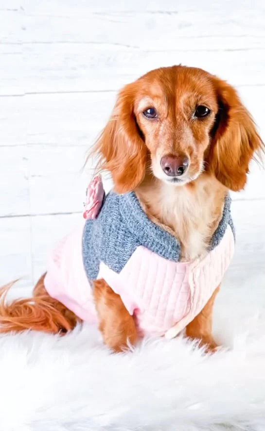 Parisian Pet - Quilted Jacket Fancy Flower