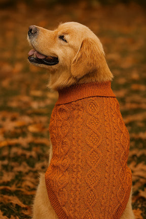 Parisian Pet - Dog Cable Knit Sweater Terracotta