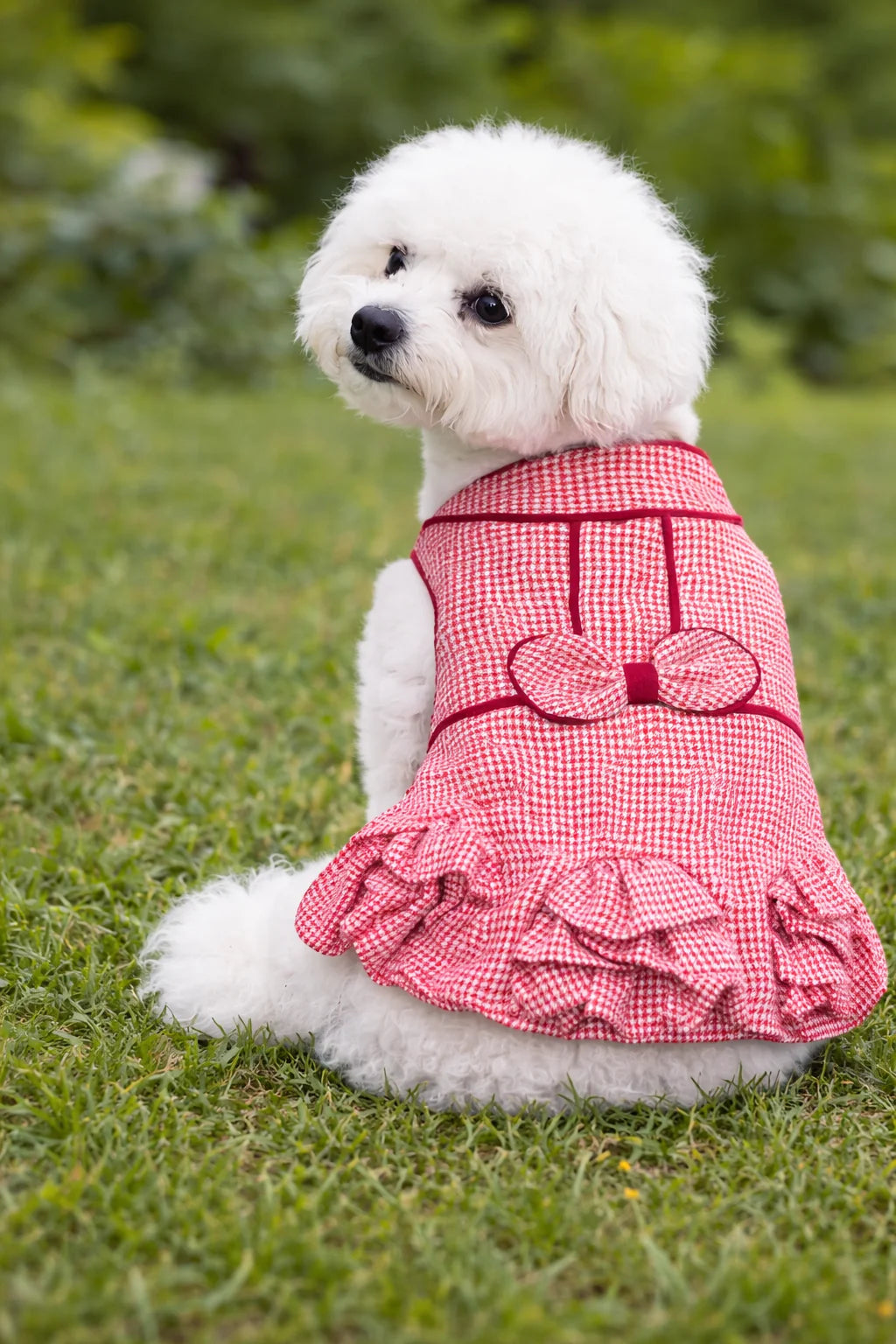 Parisian Pet - Dog Dress Houndstooth Ruffles