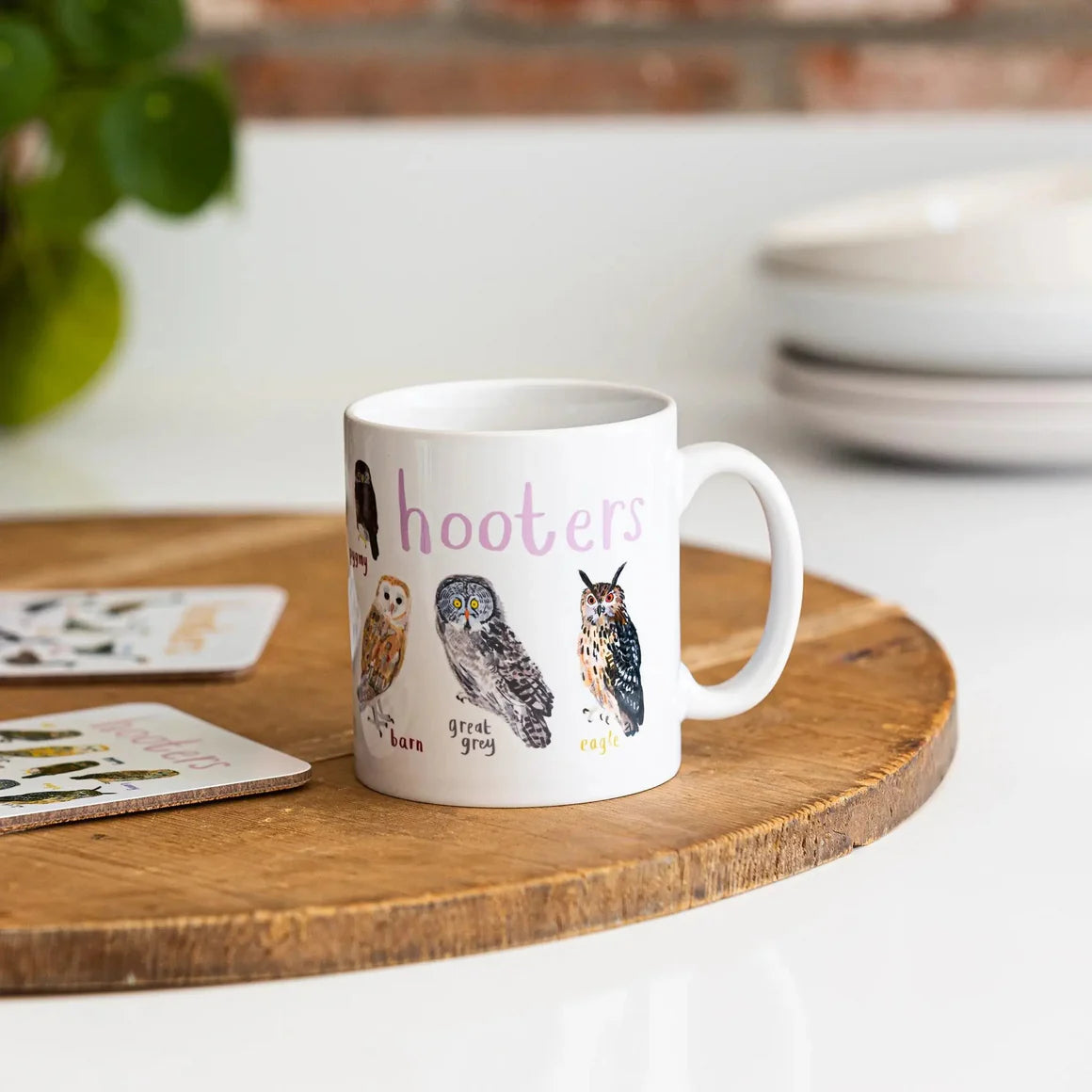 Fly Paper Products - Mug Hooters Bird Pun Owl Fowl Language