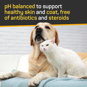 W.F. Young - Silver Honey Leave-in Conditioner Skin & Coat Care