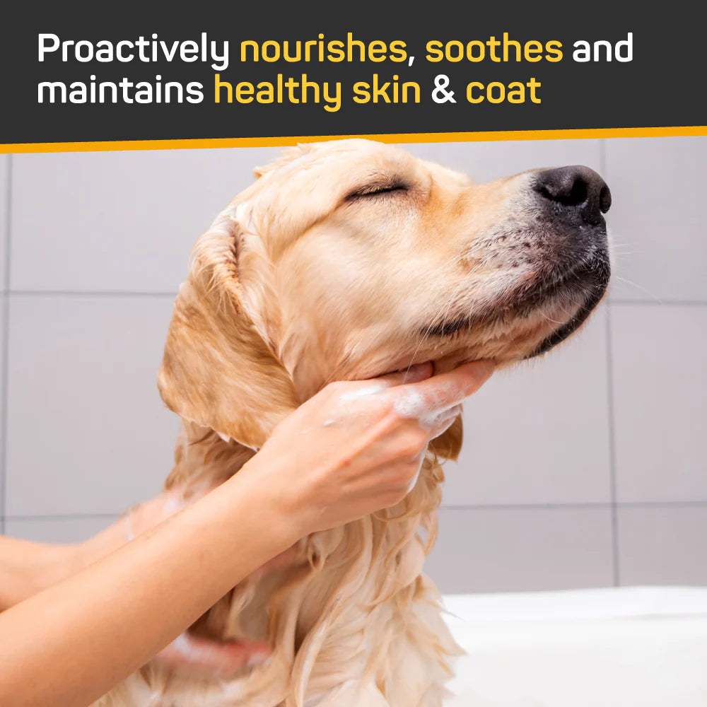 W.F. Young - Silver Honey Shampoo w/ Odor Neutralizer