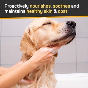 W.F. Young - Silver Honey Shampoo w/ Odor Neutralizer