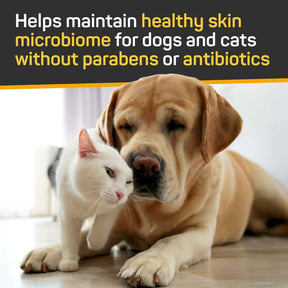 W.F. Young - Silver Honey Shampoo w/ Odor Neutralizer