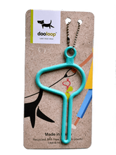 The Dooloop