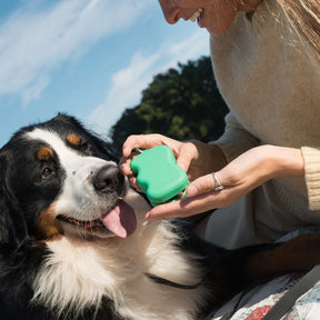 Springer - Dog Treat Dispenser Pouch
