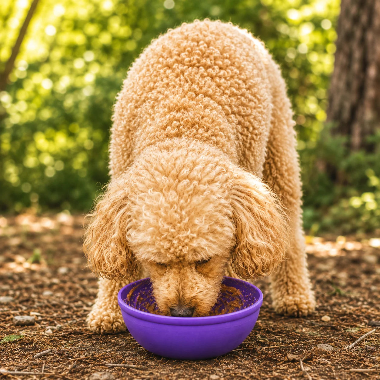 SodaPup - Enrichment Lick Mat Bowl Garden of Eatin'