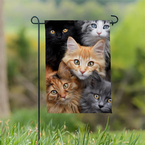 Evergreen Enterprises - Flag Cats!