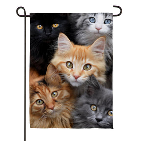 Evergreen Enterprises - Flag Cats!