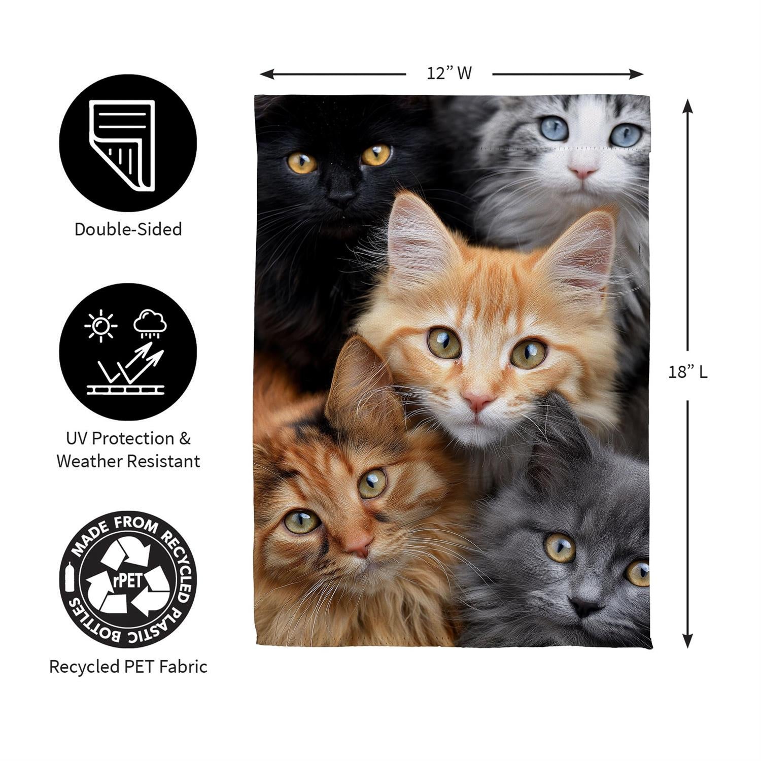 Evergreen Enterprises - Flag Cats!