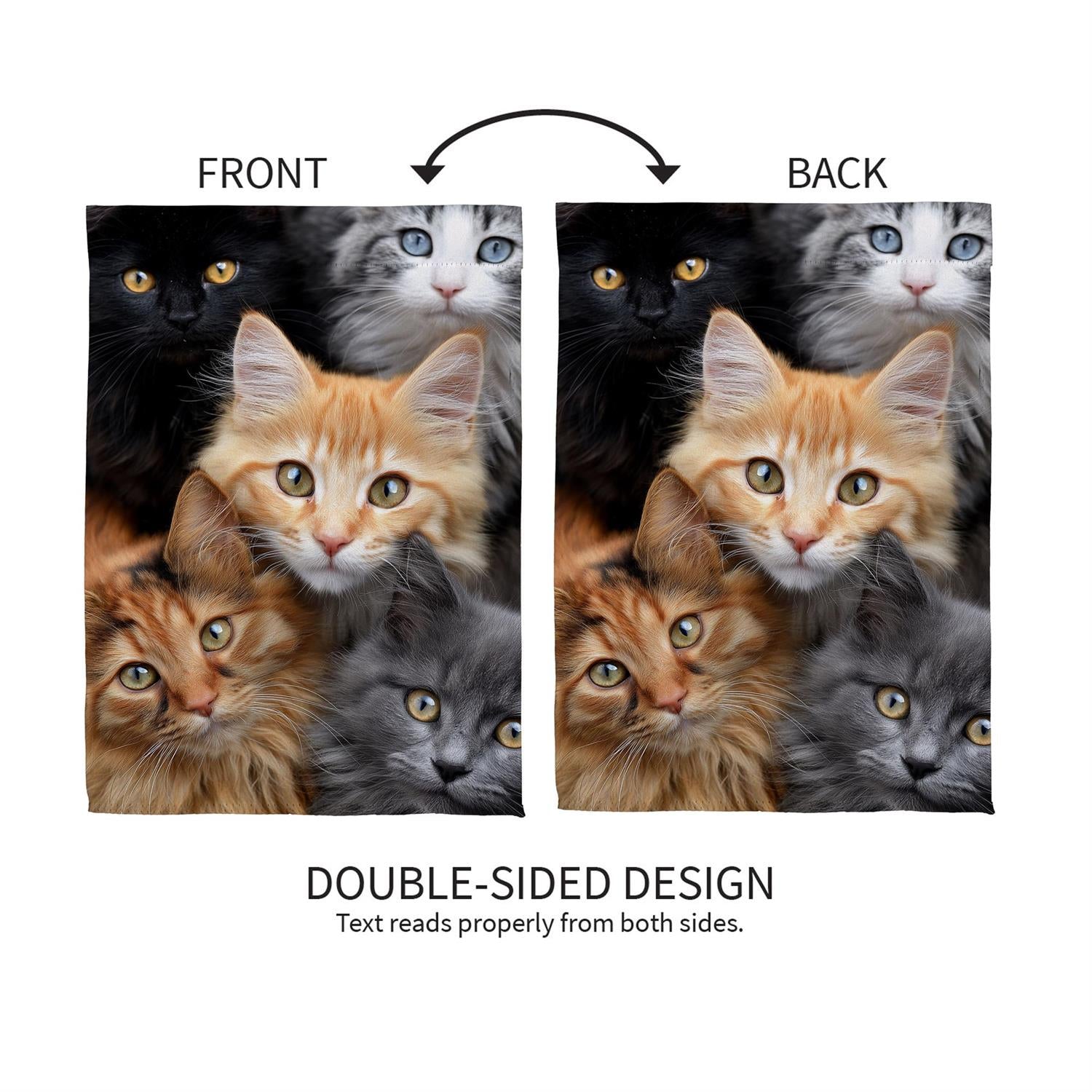 Evergreen Enterprises - Flag Cats!