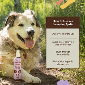 Natural Dog Company - Calming Lavender Spritz
