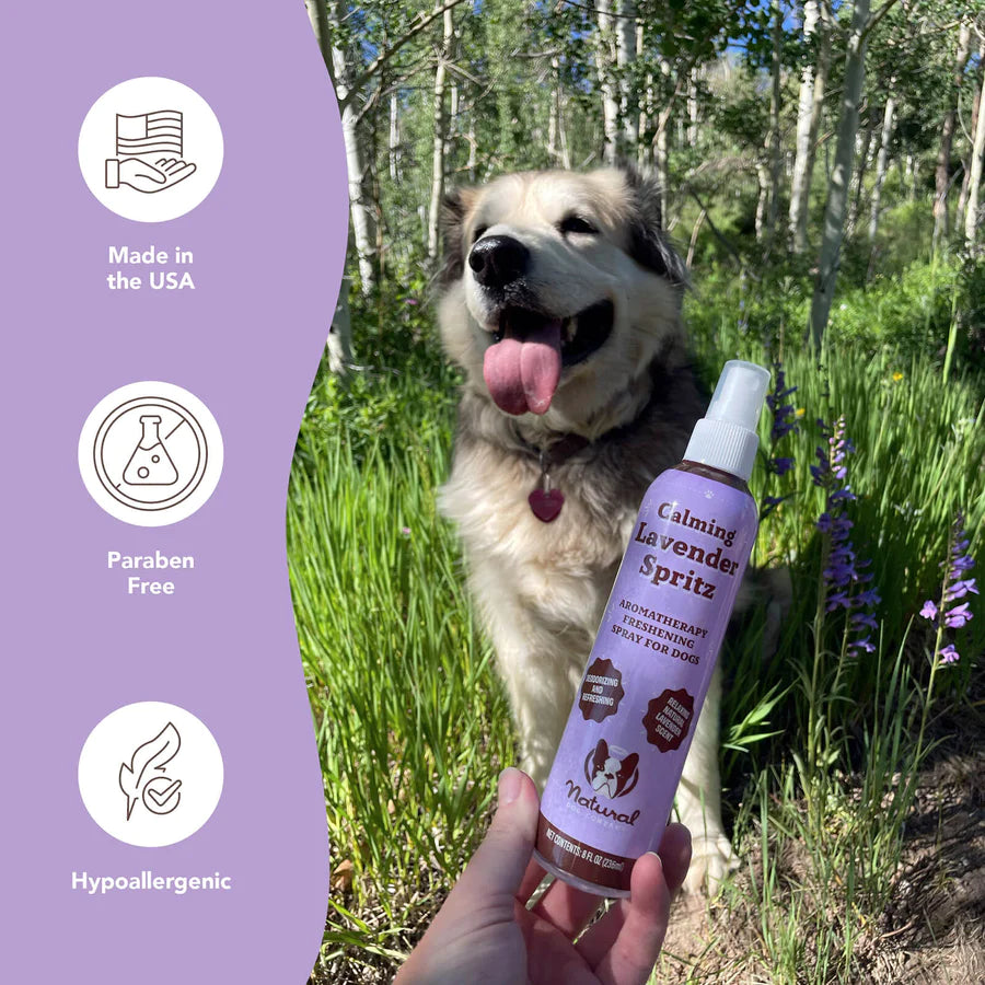 lavender plants dogs Natural Dog Company