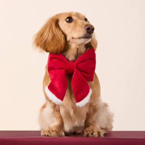 Dog Bow Lady Santa Paws