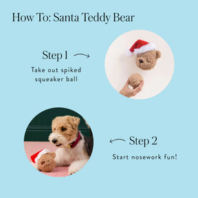 Dog Toy Santa Teddy Bear 2 in 1 Bounce