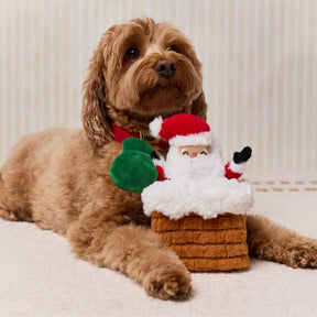 The Foggy Dog - Dog Toy Here Comes Santa