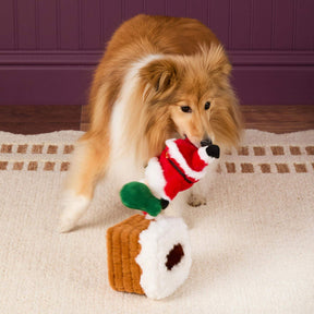 The Foggy Dog - Dog Toy Here Comes Santa