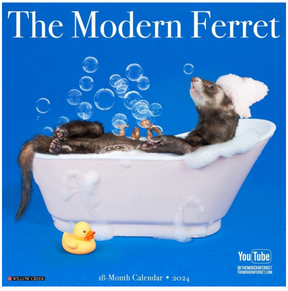 2024 Modern Ferrets Calendar