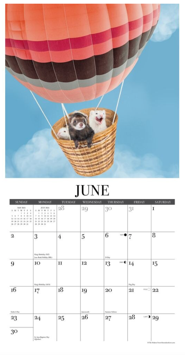 2024 Modern Ferrets Calendar
