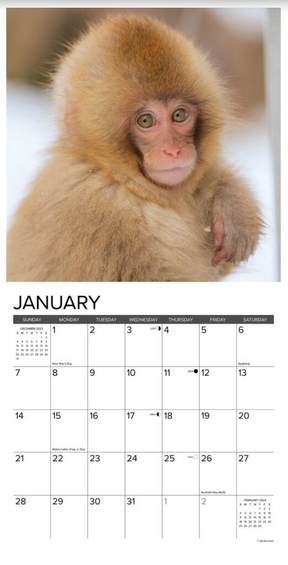 2024 Monkey Business Calendar