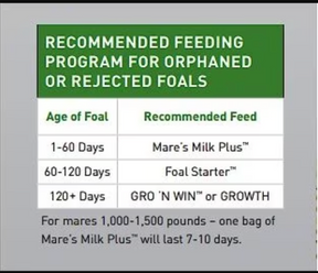 Buckeye - Mare's Milk Plus Milk Replacer Powder Horse Supplement