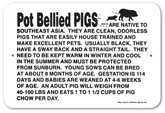 Information Pot Bellied Pig Sign