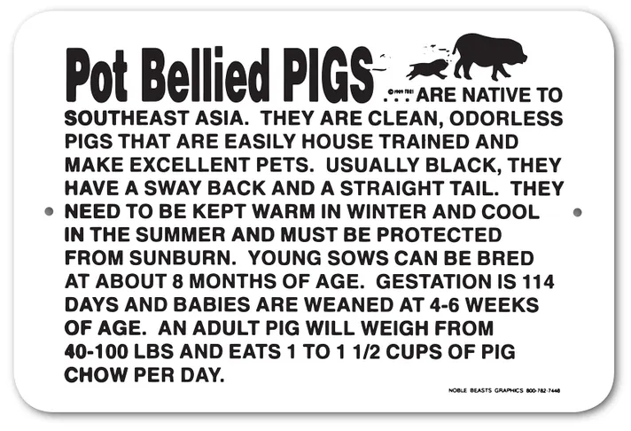 Information Pot Bellied Pig Sign
