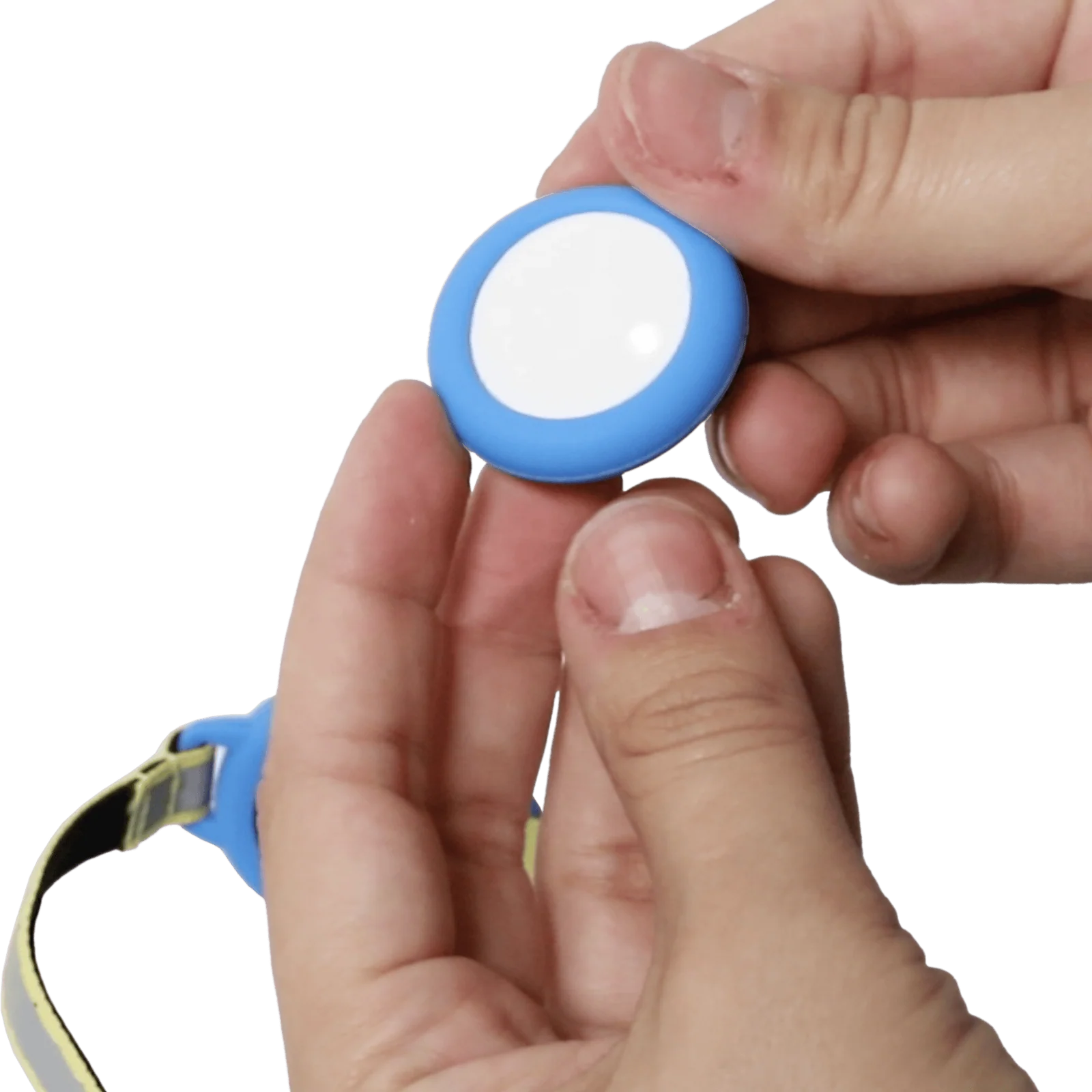 Travel Cat - Collar Travel Cat Air Tag