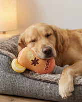 Haute Diggity Dog - Dog Toy Haute Toddy Drink
