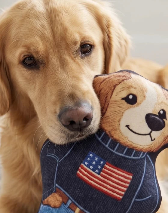 Haute Diggity Dog - Dog Toy Ralph Lauren Teddy