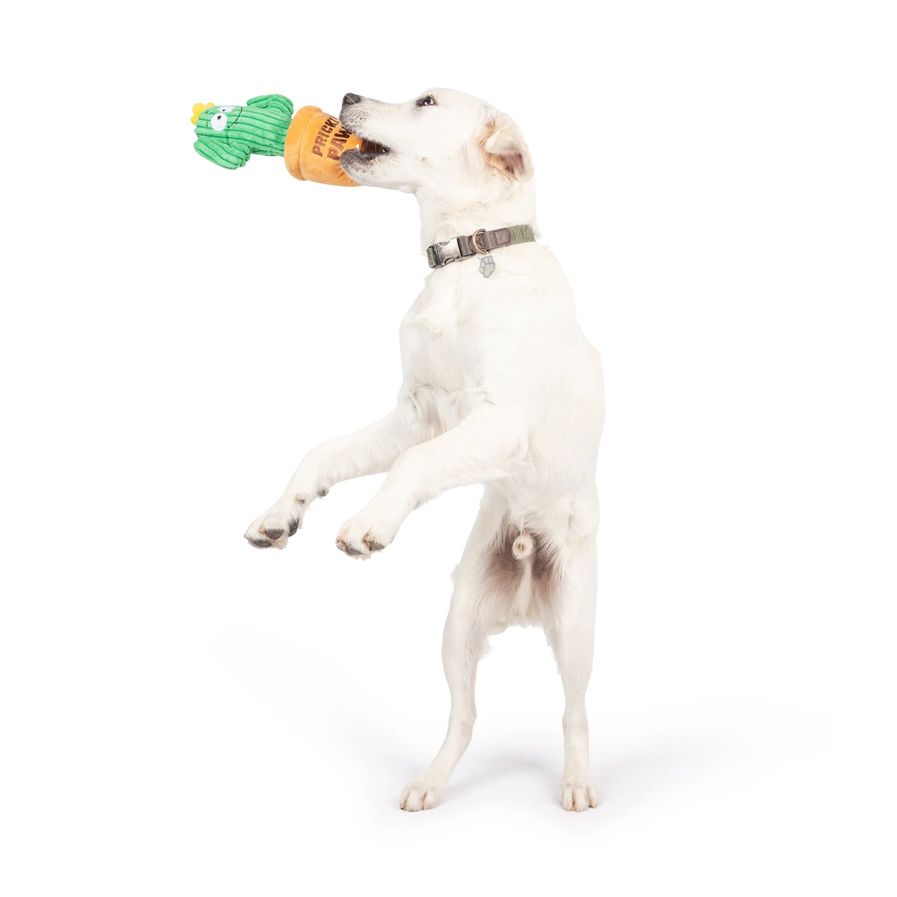 Huxley & Kent - Dog Toy Seek 'N Treat Prickly