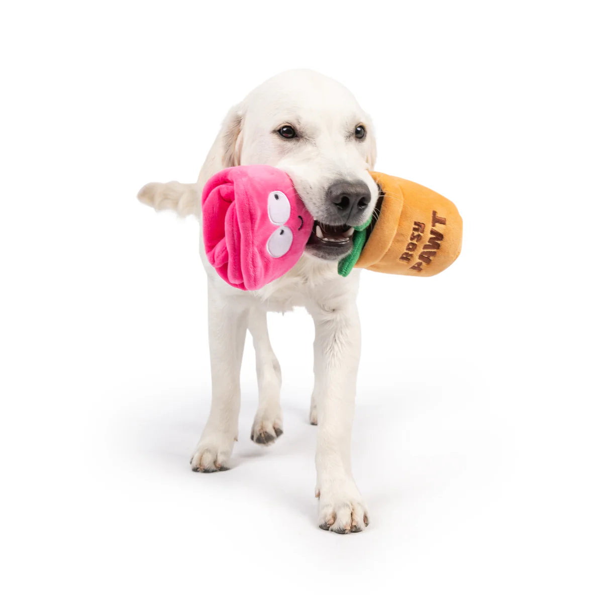 Huxley & Kent - Dog Toy Seek 'N Treat Rosie Pawt