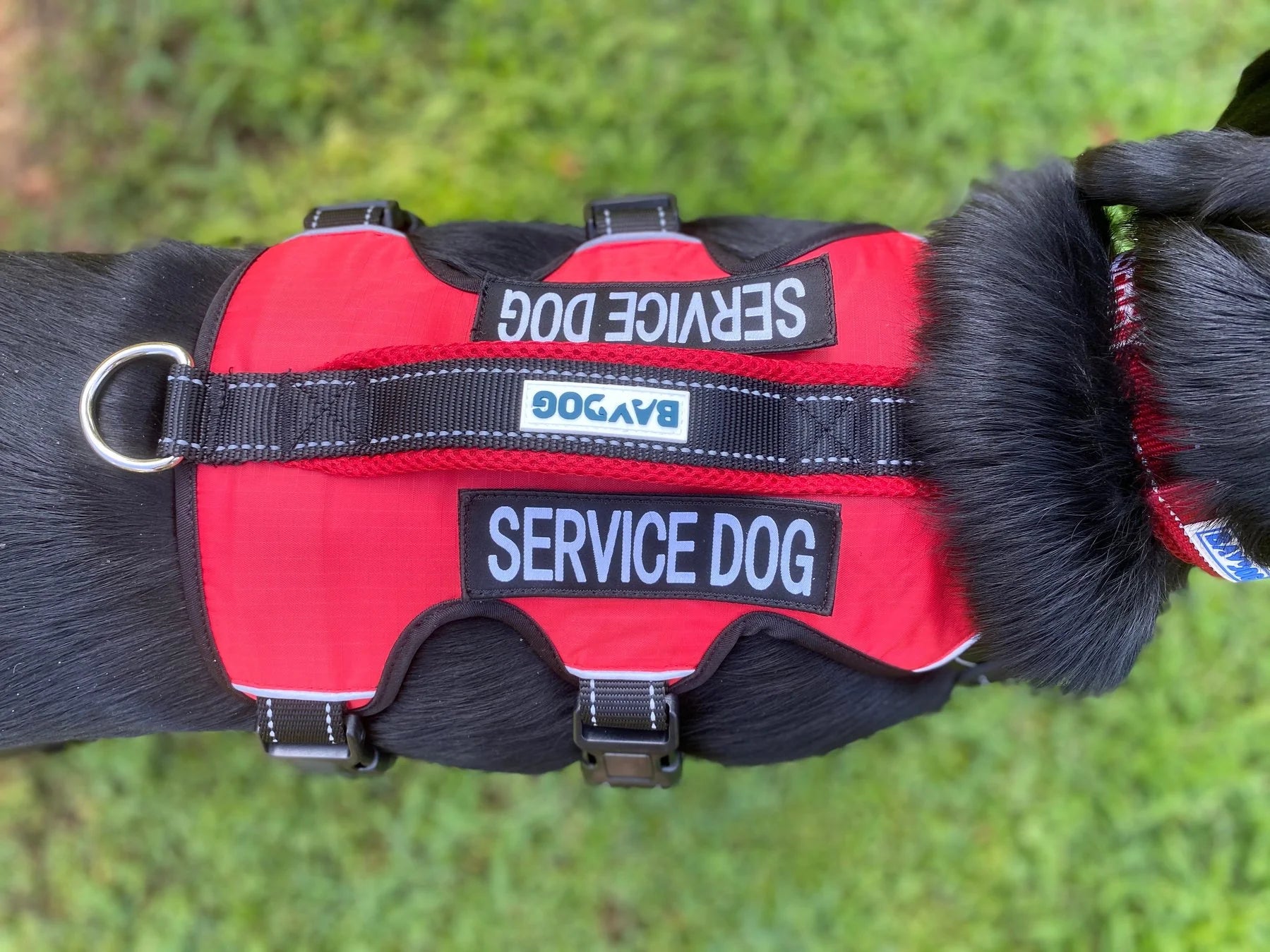 Baydog Harness Service Dog Red Baydog harness service dog red