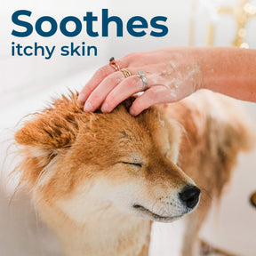 Wondercide - Flea & Tick Shampoo Cedar
